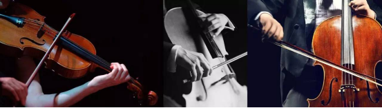 Betway·必威(西汉姆联)官方网站-Official website