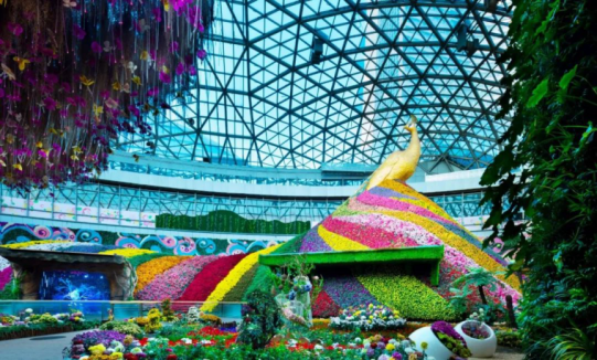 Betway·必威(西汉姆联)官方网站-Official website