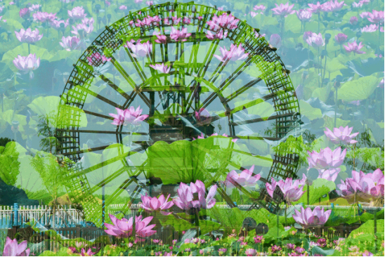 Betway·必威(西汉姆联)官方网站-Official website