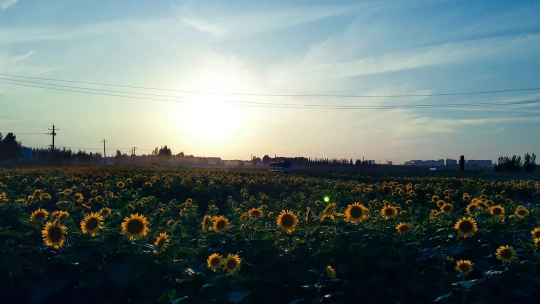 Betway·必威(西汉姆联)官方网站-Official website