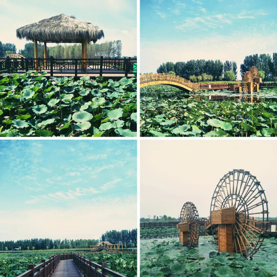 Betway·必威(西汉姆联)官方网站-Official website