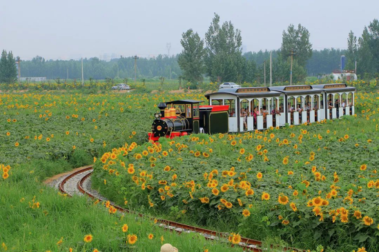 Betway·必威(西汉姆联)官方网站-Official website