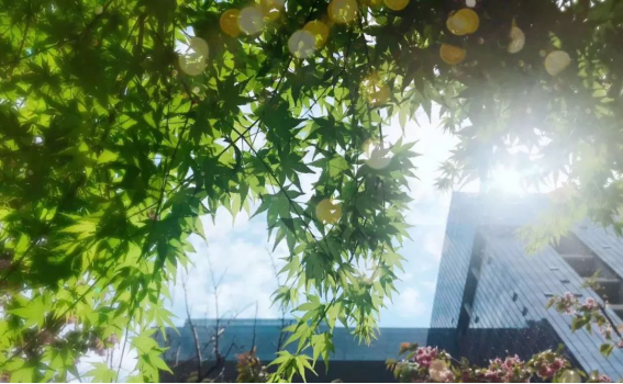 Betway·必威(西汉姆联)官方网站-Official website