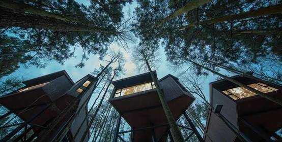 Betway·必威(西汉姆联)官方网站-Official website