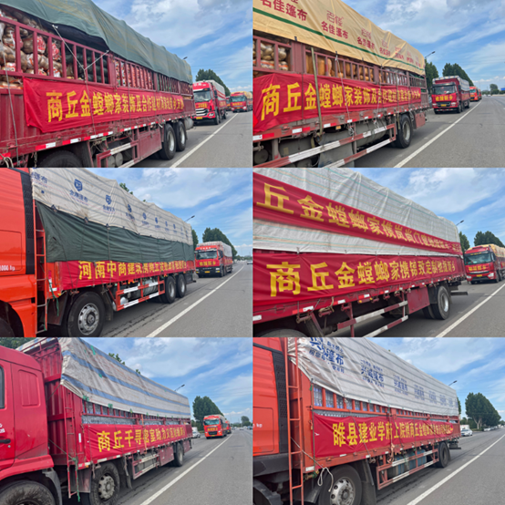 Betway·必威(西汉姆联)官方网站-Official website