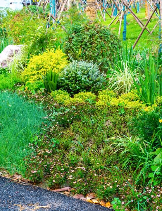 Betway·必威(西汉姆联)官方网站-Official website